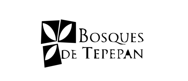 LOGOS-27