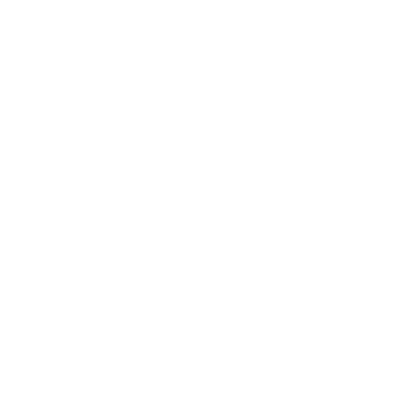 RAHE_Mesa de trabajo 1